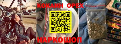 jwh Кандалакша