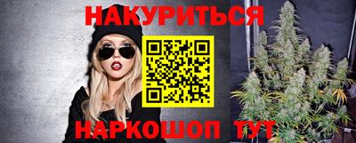 Альфа ПВП Канаш
